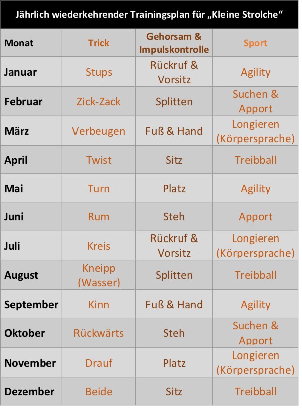 Trainingsplan