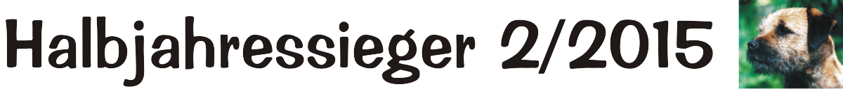 Halbjahressieger20152
