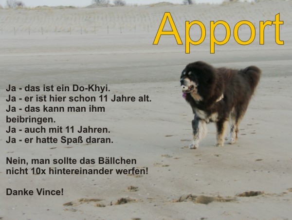 Apport