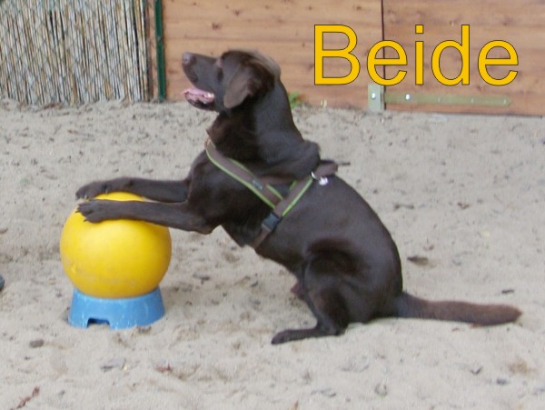 Beide