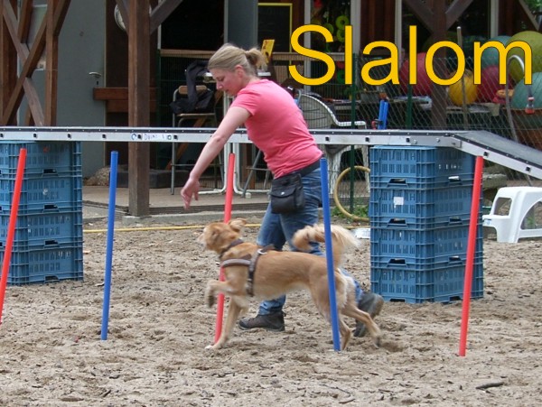 Slalom