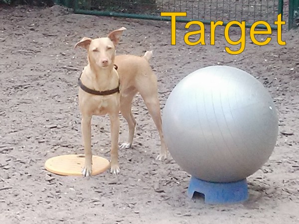 Target