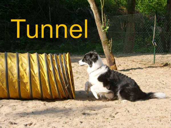 Tunnel