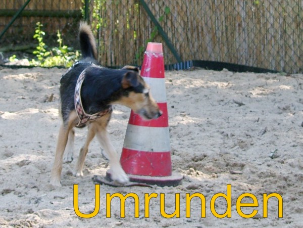 Umrunden