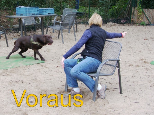 Voraus