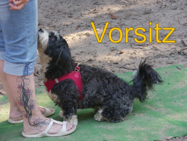 Vorsitz