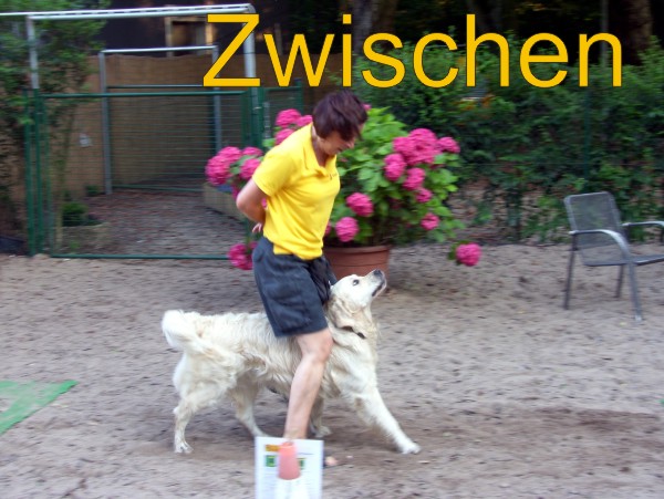 Zwischen